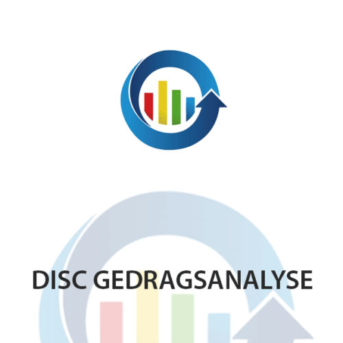 disc-gedragsanalyse